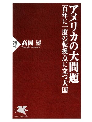 cover image of アメリカの大問題―百年に一度の転換点に立つ大国